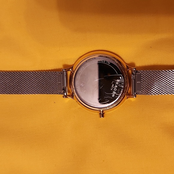 Skagen Wrist Watch